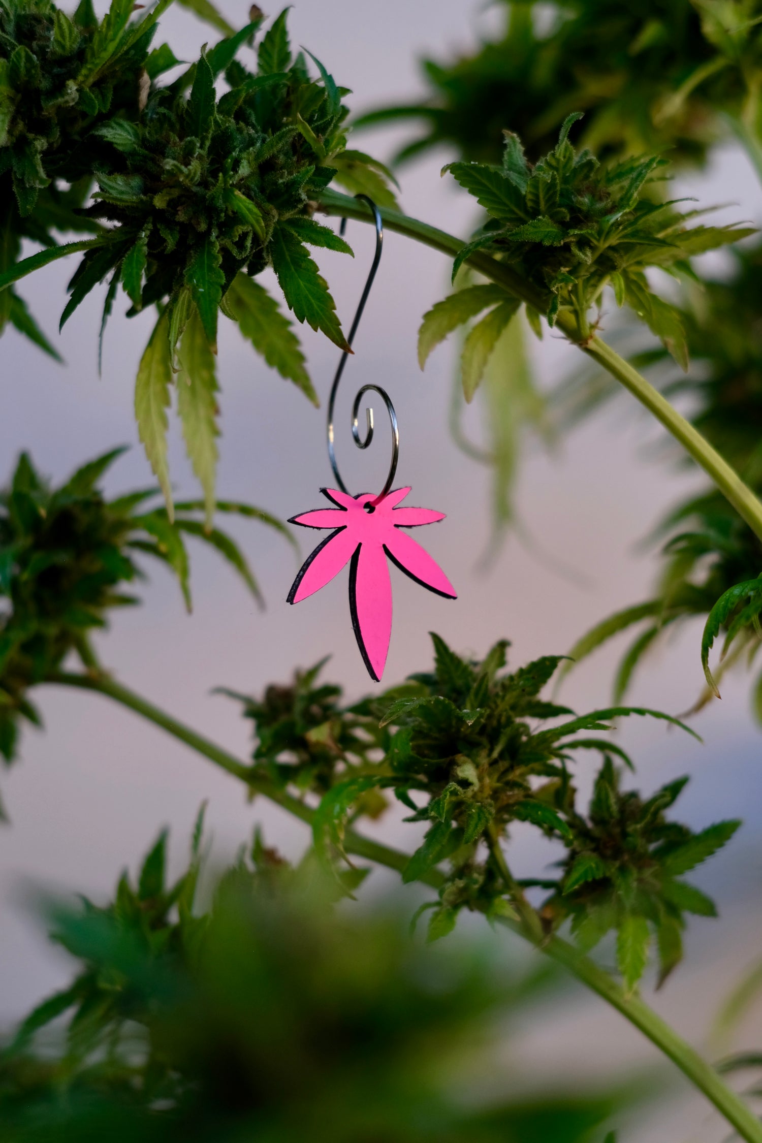 Mini Leaf Leather Neon Pink Ornament 1pk