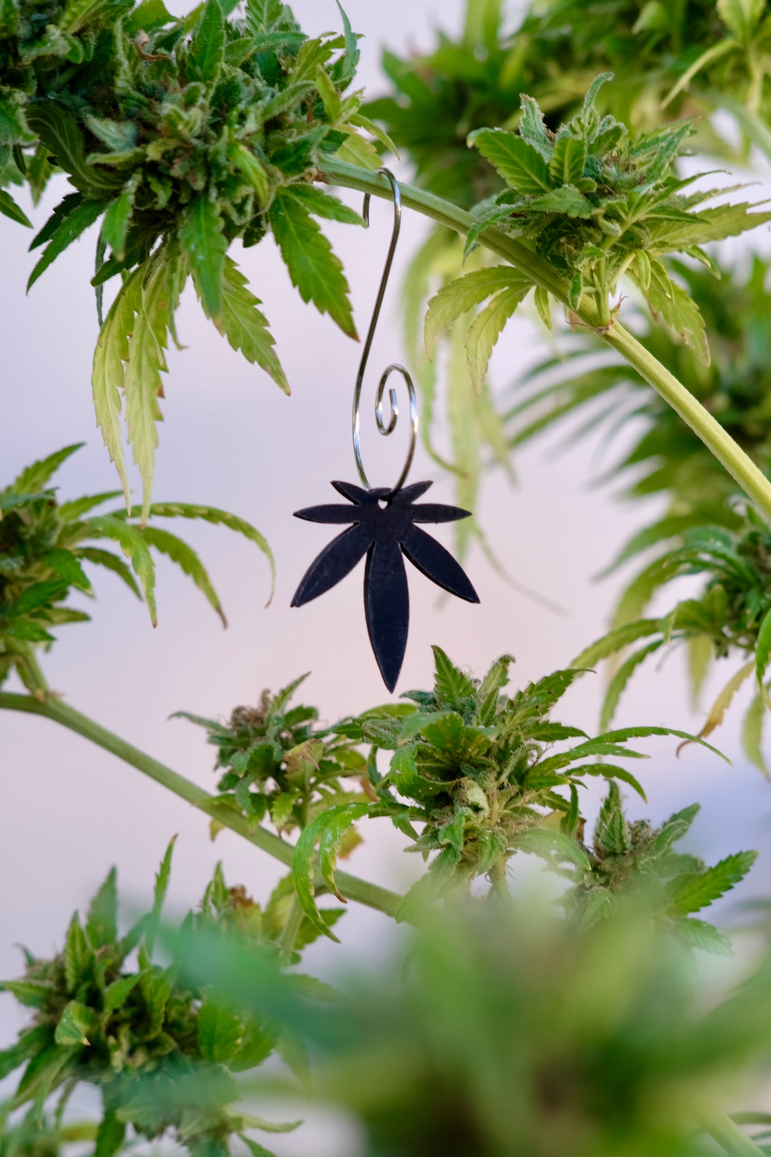 Mini Leaf Vegan Leather Black Ornament 1pk