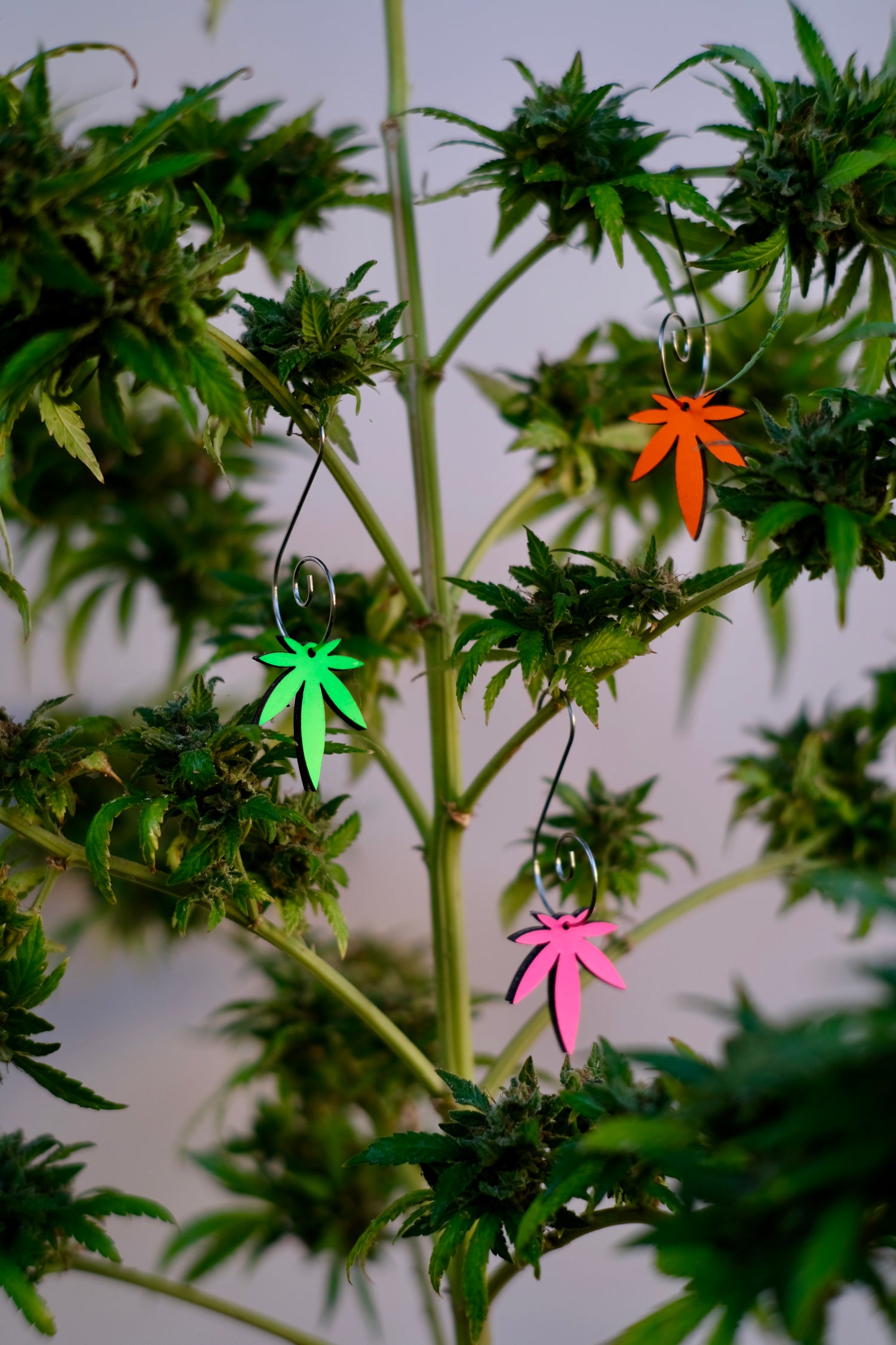 Mini Leaf Leather Neon Pink Orange Green Ornaments 3pk