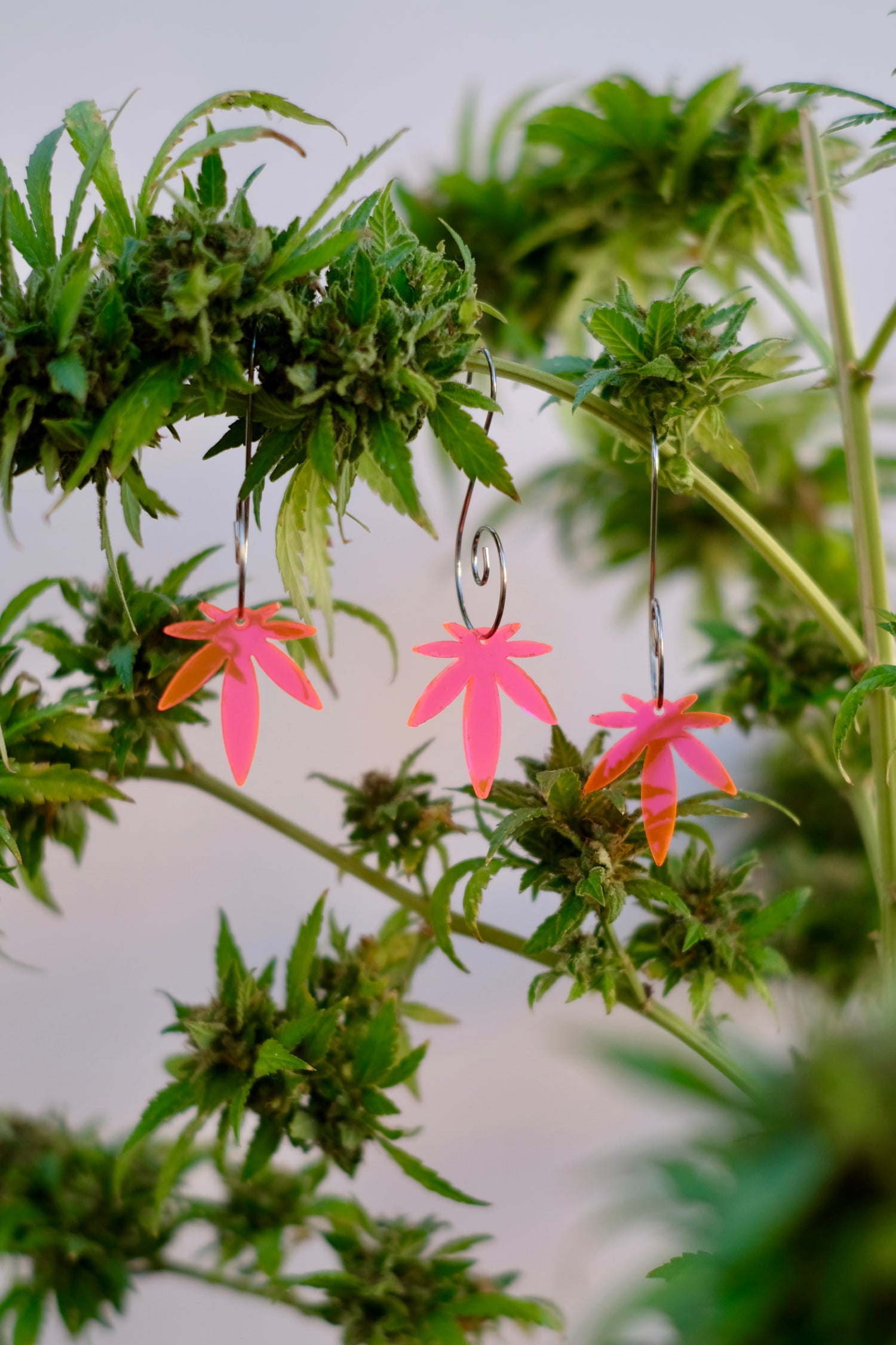 Mini Leaf Acrylic Transparent Pink Ornaments 3pk