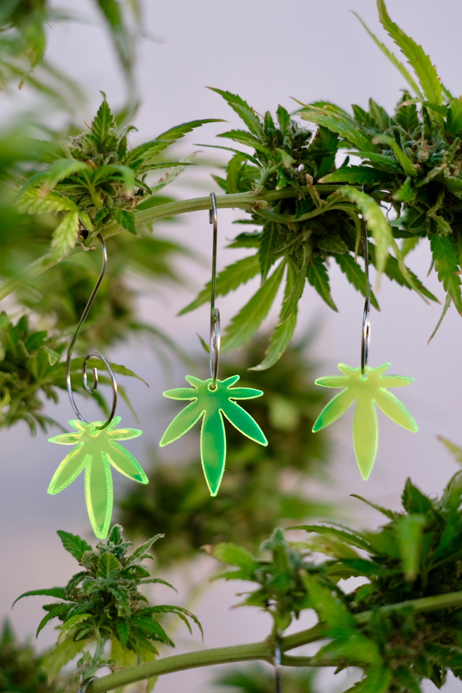 Mini Leaf Acrylic Transparent Yellow-green 3pk