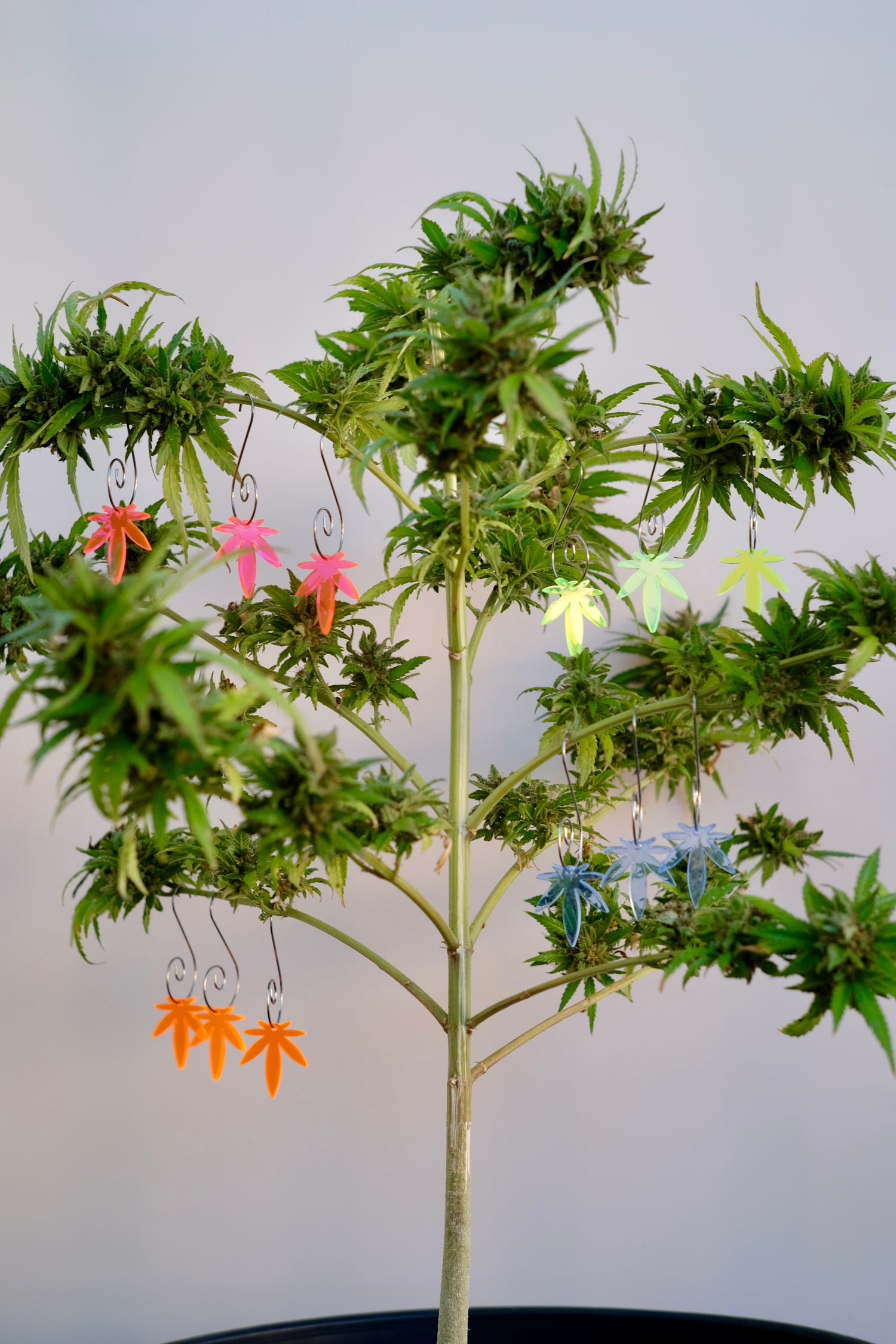 Mini Leaf Acrylic Orange Ornament 1pk