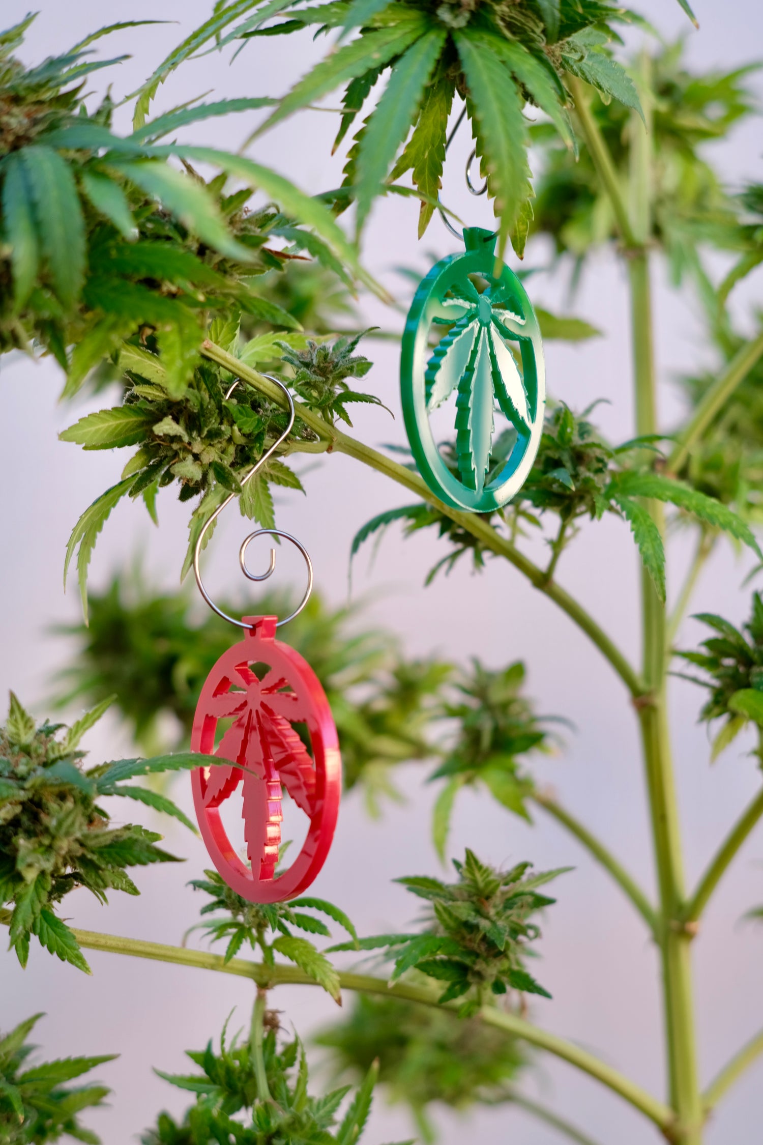 Large Leaf Solid Color Ornaments 3pk